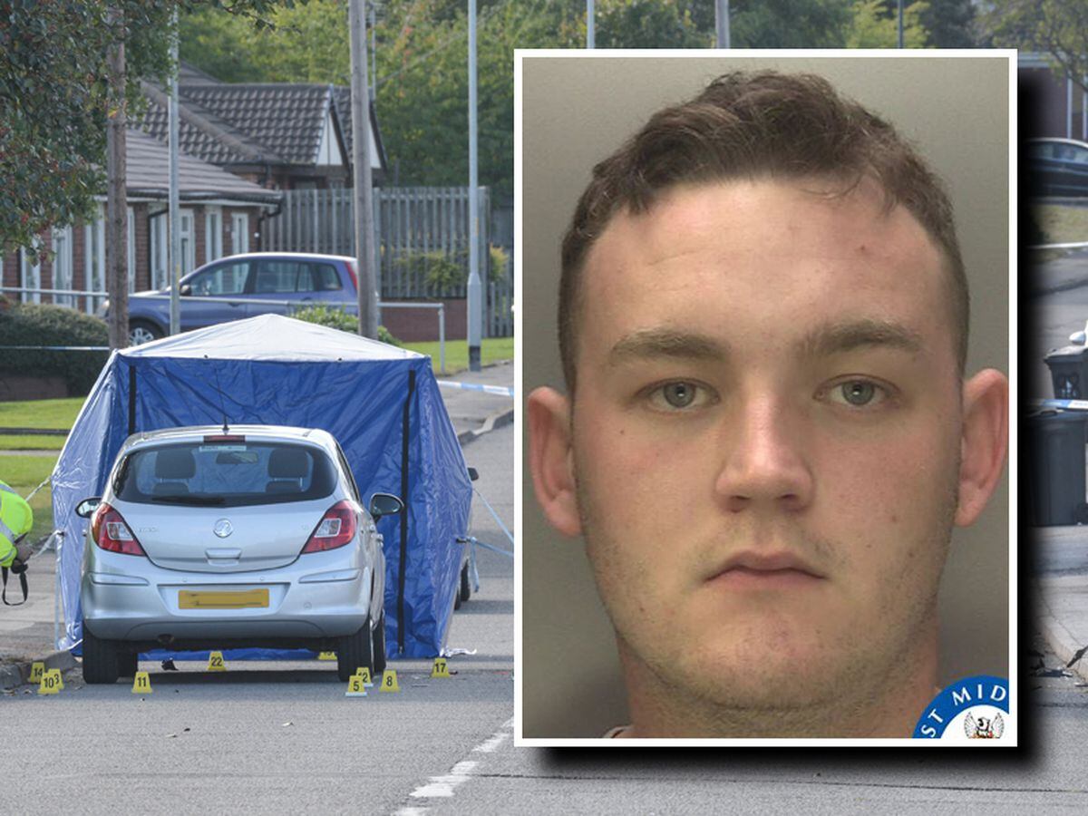 JAILED: Hit-and-run man killed care worker driving at 75mph on wrong ...