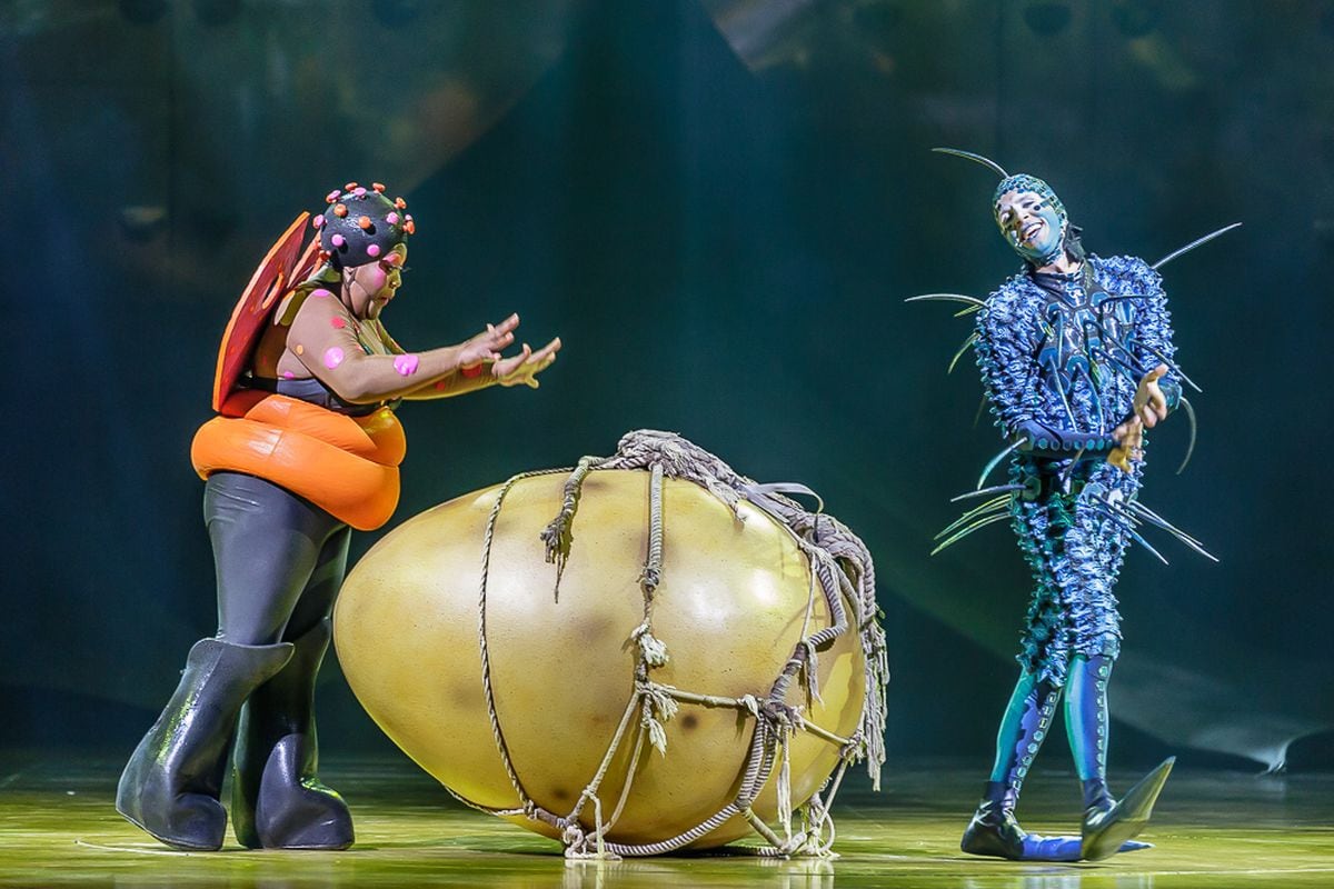 Cirque du Soleil OVO, Arena Birmingham review with pictures