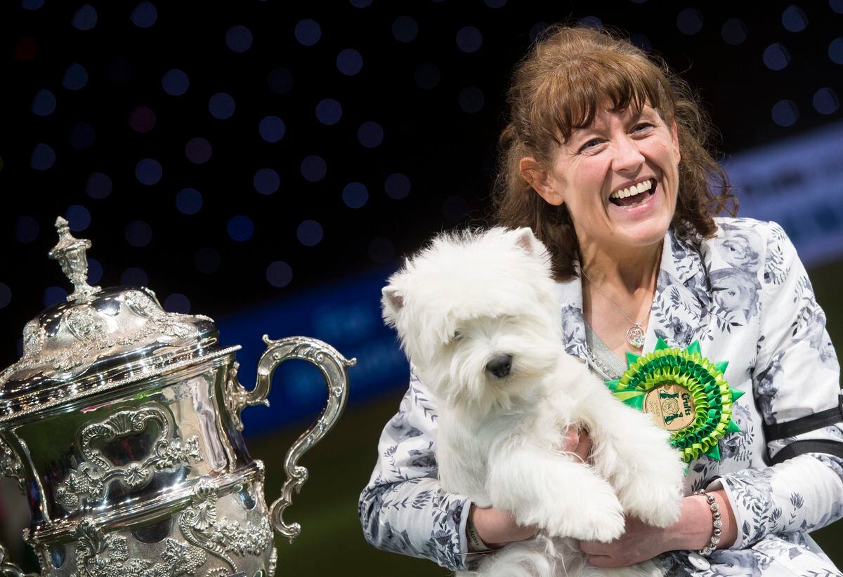 From Puppy Prizes To Most Popular Breeds: We Take A Look At The Best In 