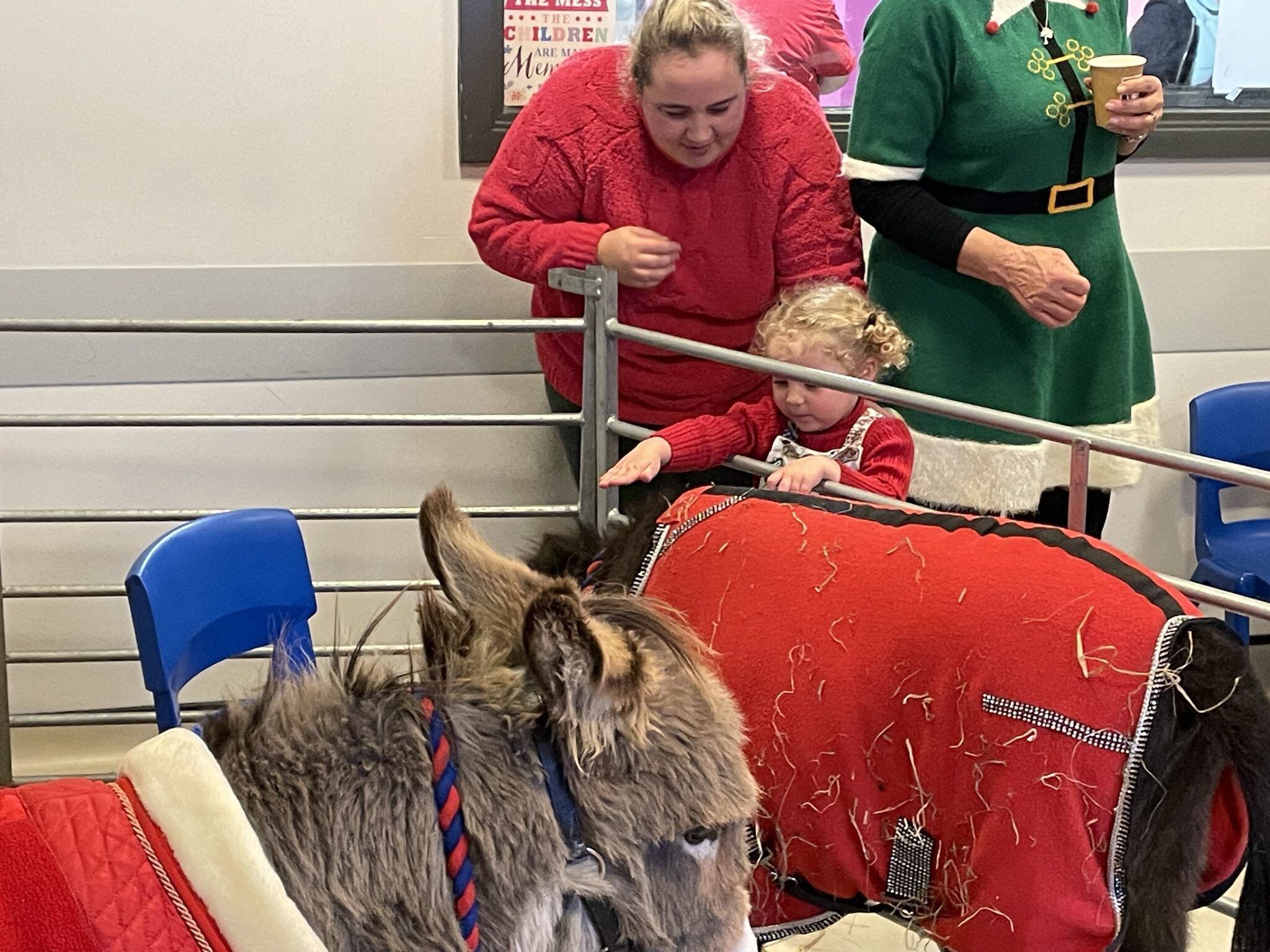 Donkeys visit as Walsall Manor Hospital switches on Christmas lights