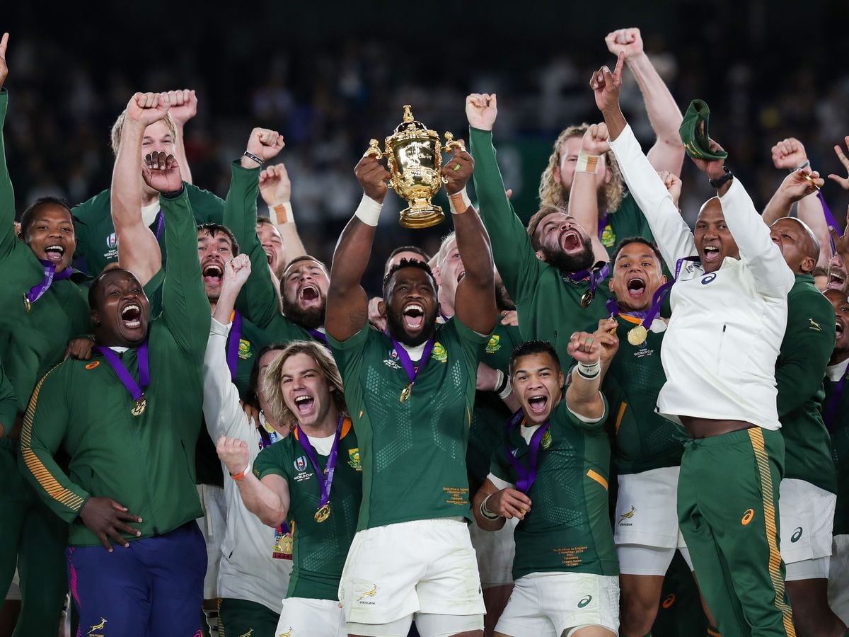 ‘Powerful’ Back Stories Will Spur Springboks Against Lions, Says Bryan ...