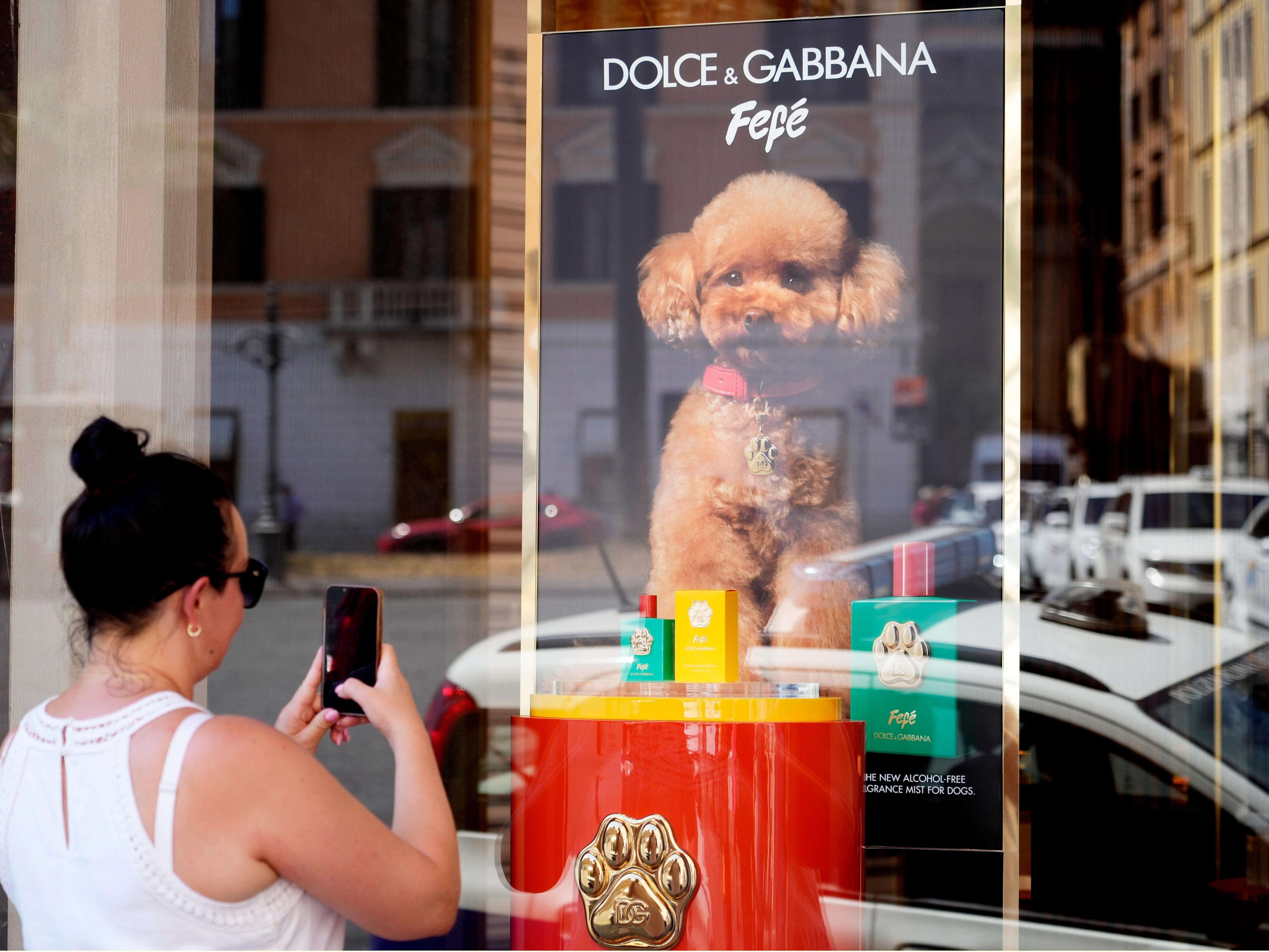 Dolce & Gabbana launches new perfume for dogs