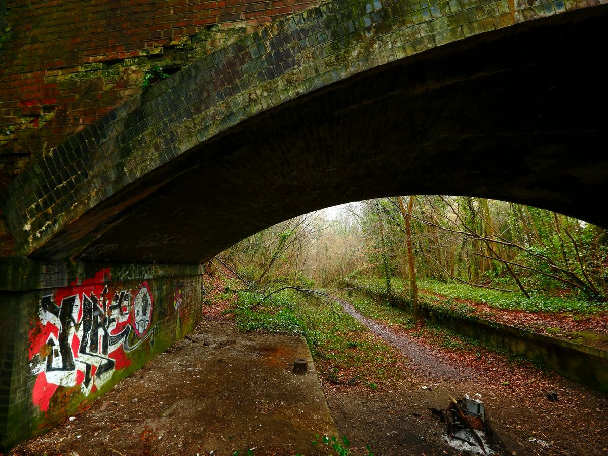 Fifty bids for rail funding to reverse Beeching cuts | Express & Star