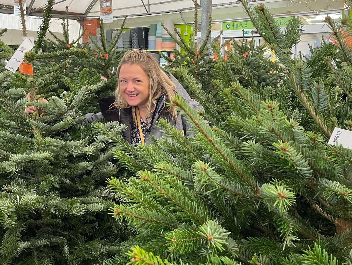 Christmas tree recycling dates and information for Wolverhampton and