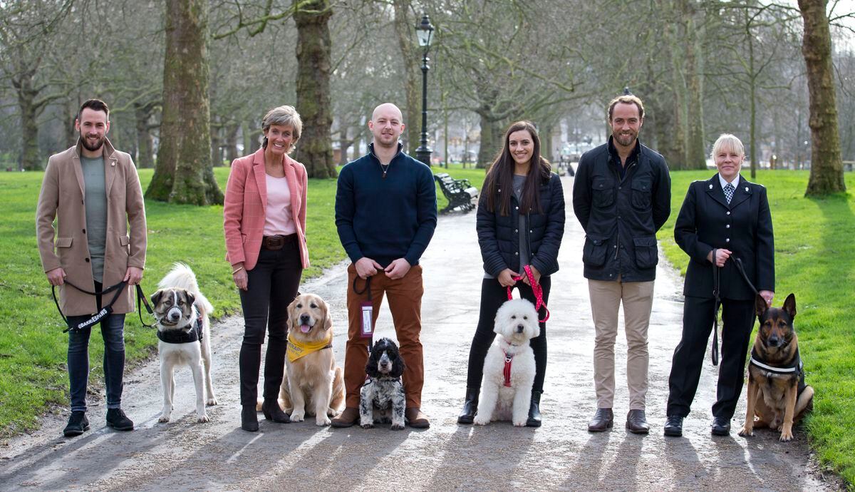 Crufts Inspirational Dogs And Their Owners Up For Friends For Life Award Express Star