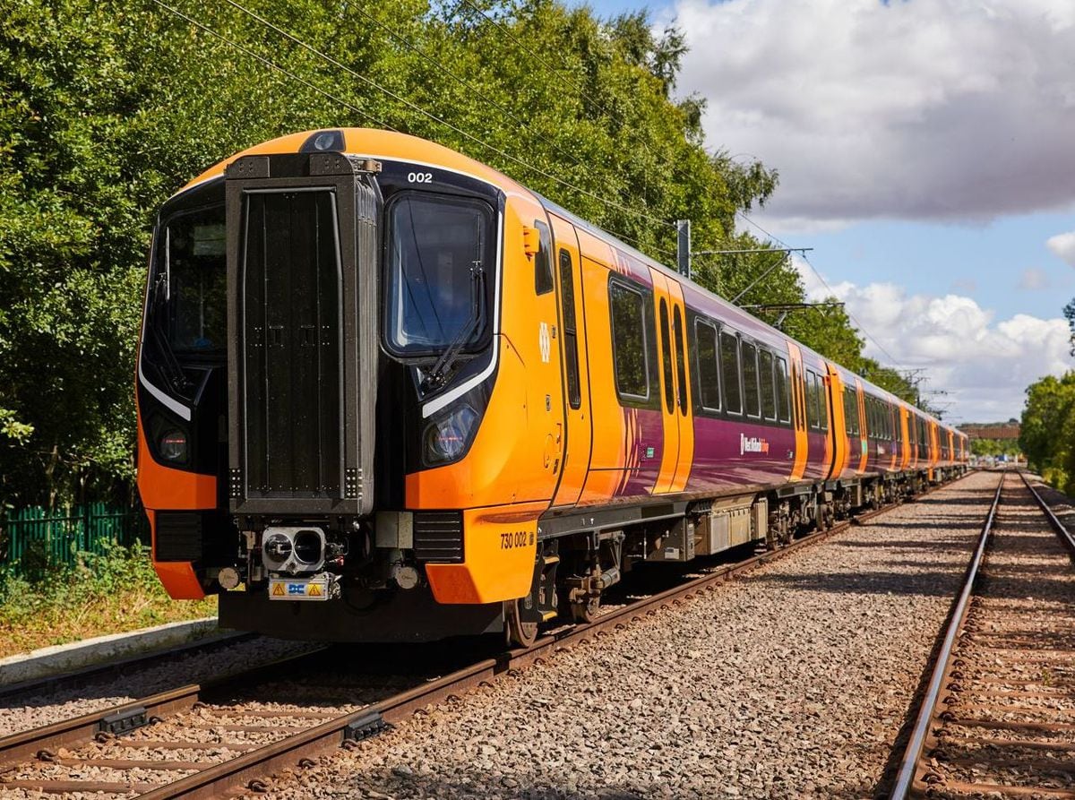 Major Train Disruption In The Region Due To Tree Blocking Railway Line ...