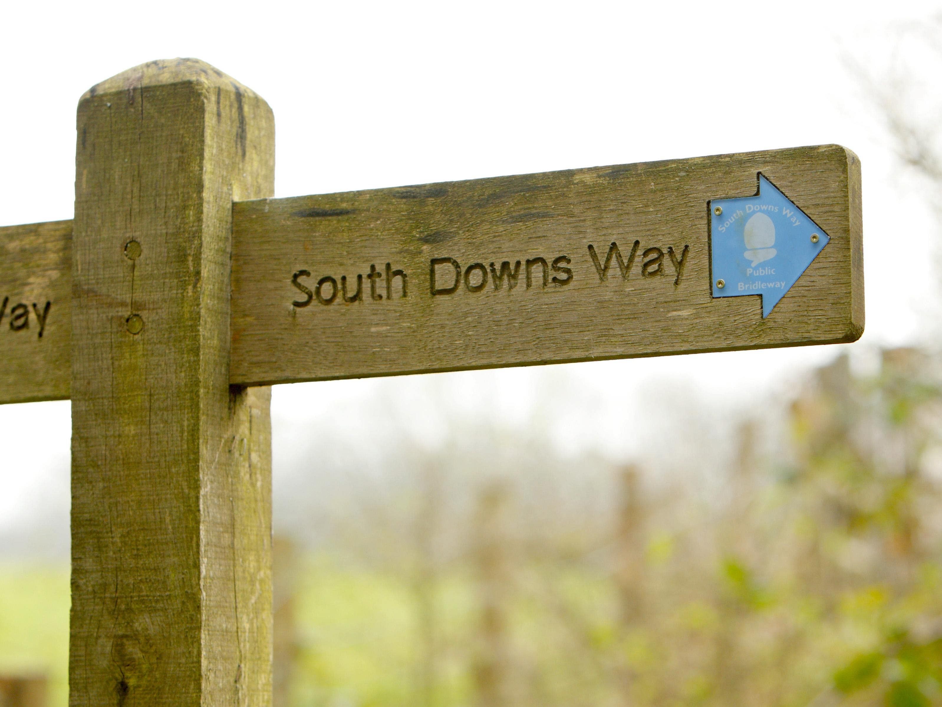 South Downs National Park launches green investment scheme to boost biodiversity
