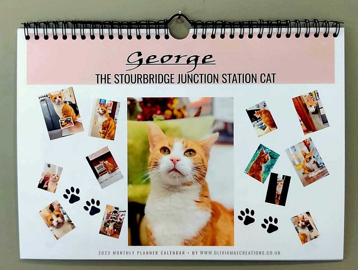 Stourbridge Junction's George the cat raises cash with own merchandise