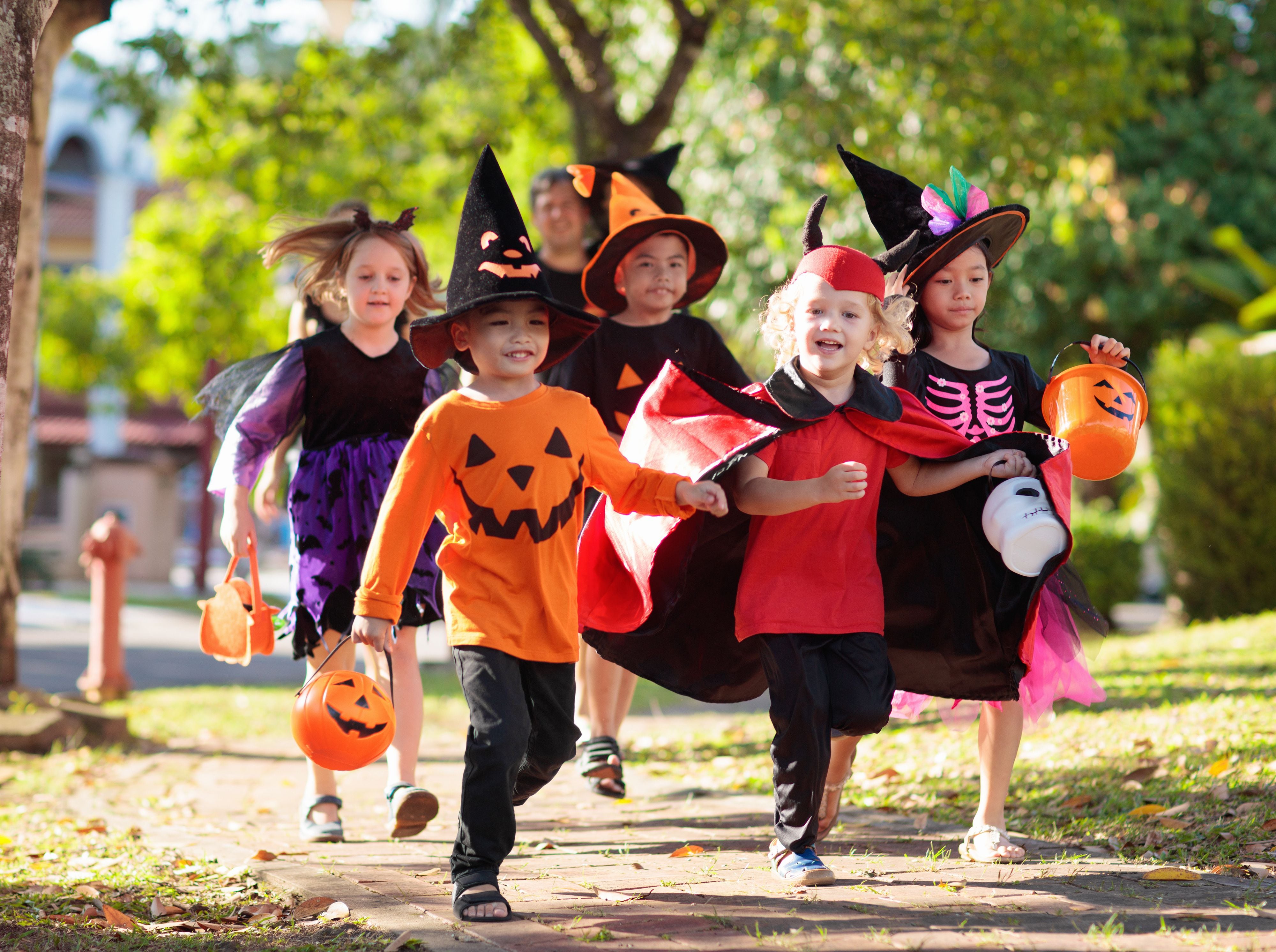 Low and no-cost half-term Halloween activities across the region