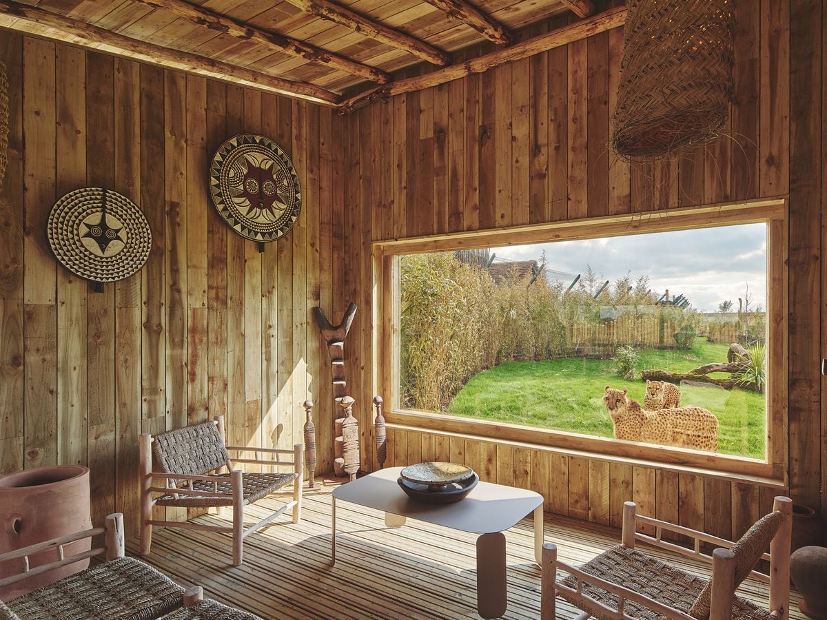 West Midland Safari Park's new animal-viewing lodges open to guests