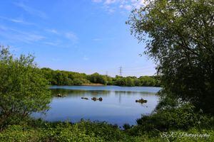 Perfect place to pick best Tipton park picture | Express & Star