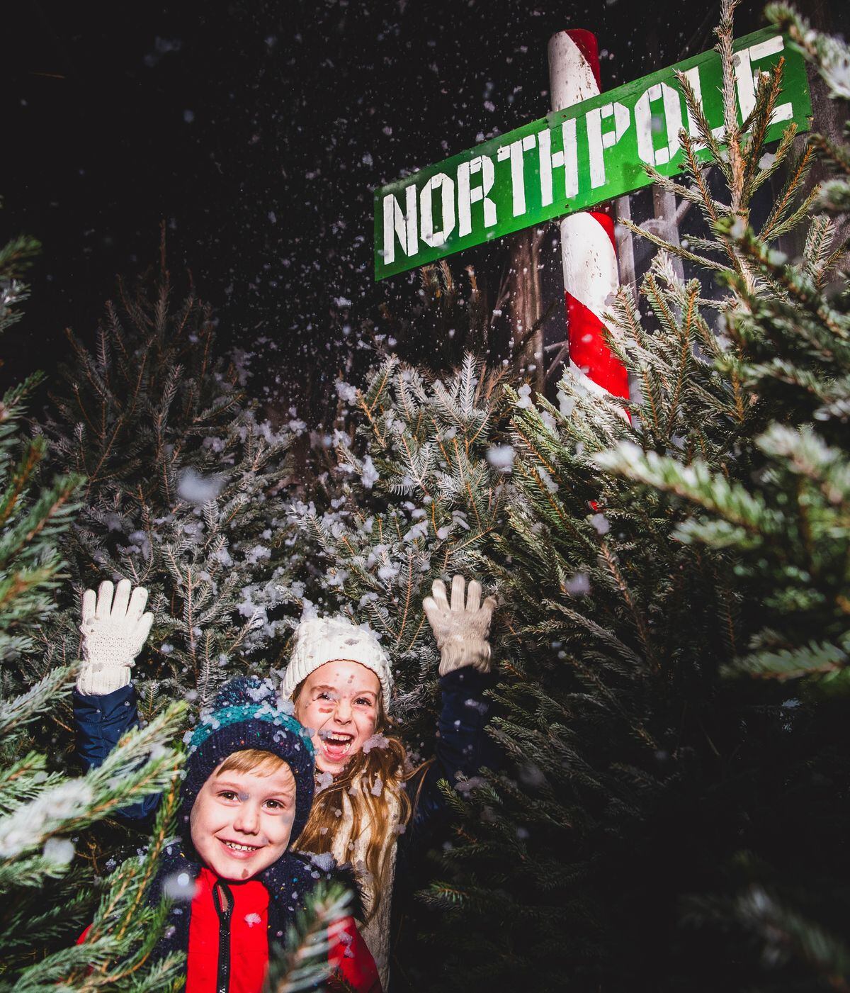 Head to Staffordshire for a North Pole Adventure Express & Star