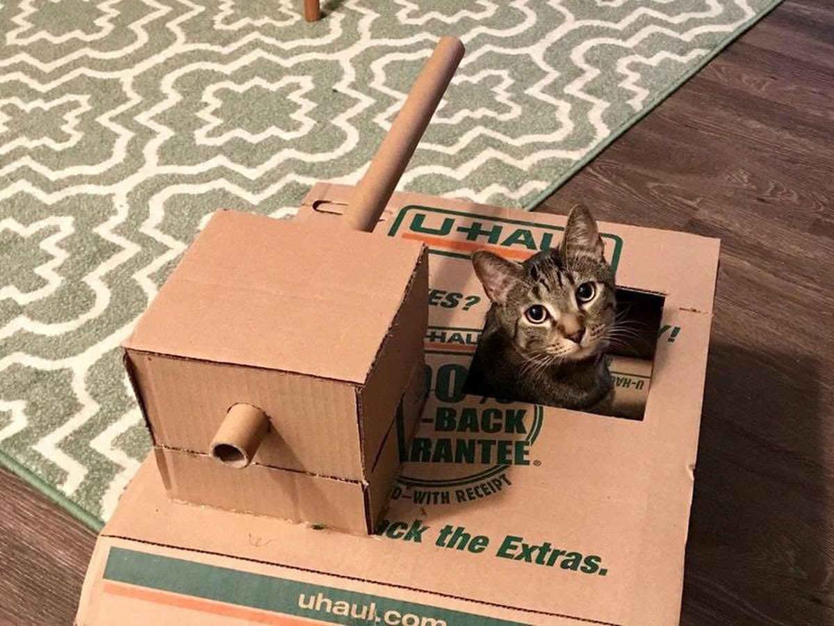 Картинка прикольное из картона танк для кота
