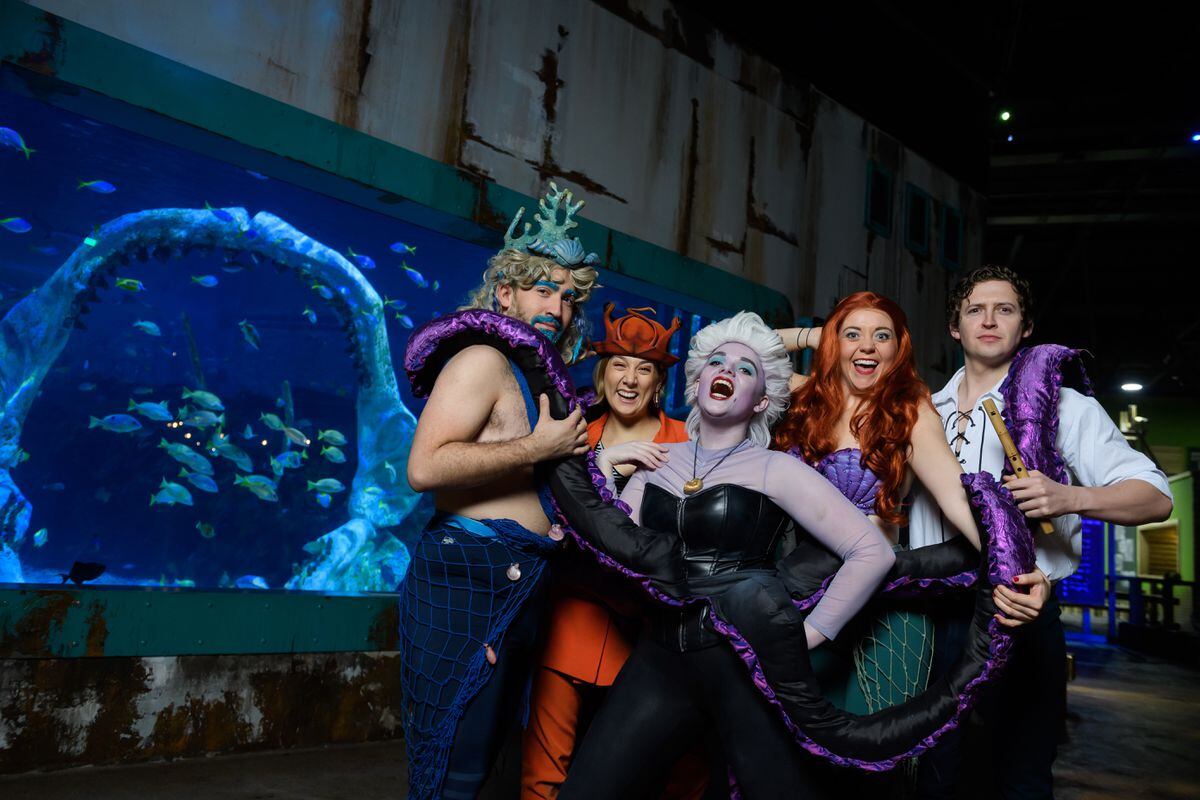 The Cast Of New Musical Unfortunate Go Under The Sea At Birmingham's 