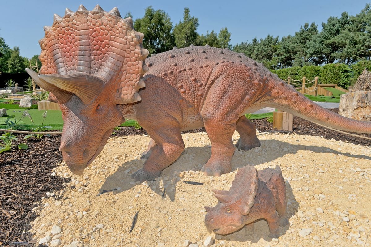 crazy dino park triceratops