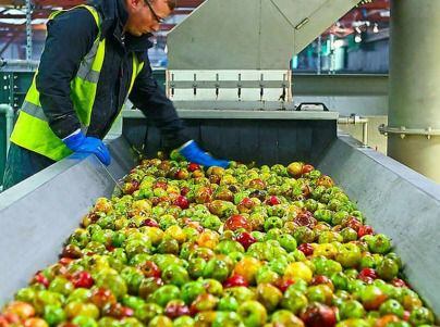 West Midlands cider producer celebrates successful summer and Aldi partnership