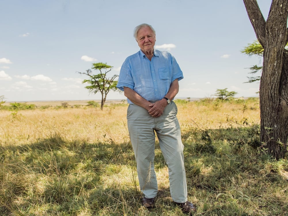 Sir David Attenborough: Early part of my career was the ...