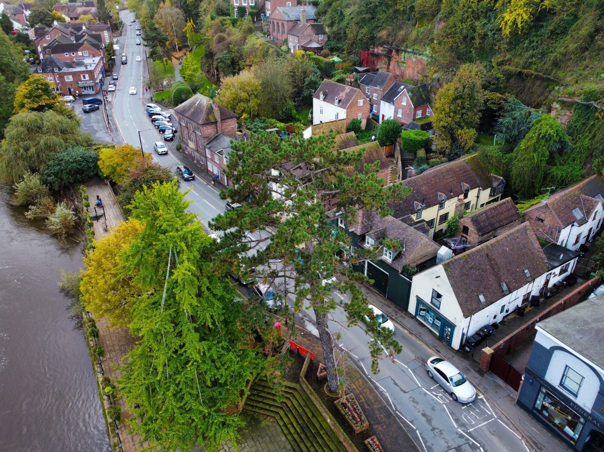 Road closures to be put in place as 100-year-old tree to finally get the chop