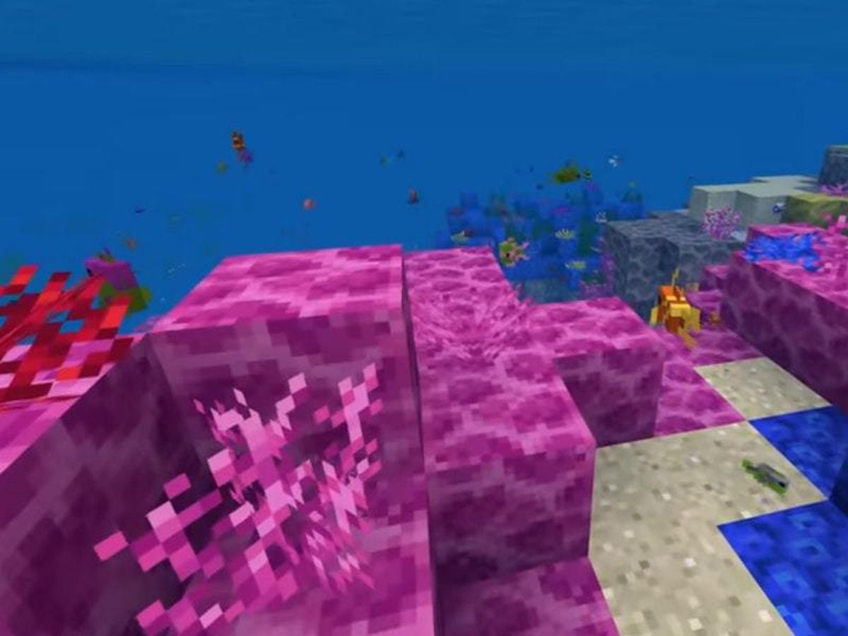 How Minecraft player creations are being used to help rebuild coral reefs