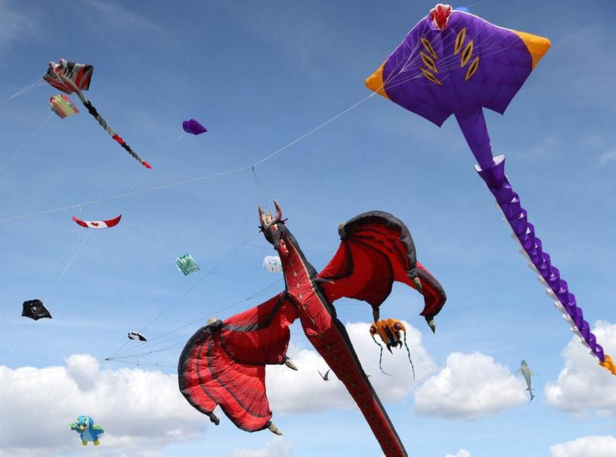 Just 15 soothing gifs of kites to calm you down on National Kite Flying ...