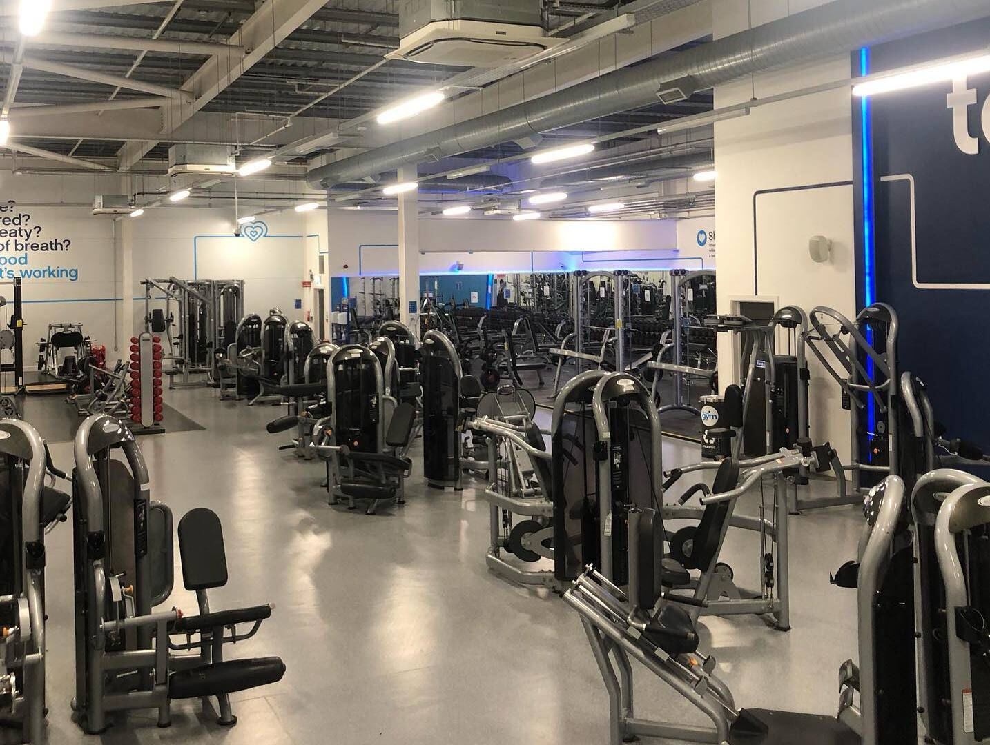 Gym chain to open in Stafford