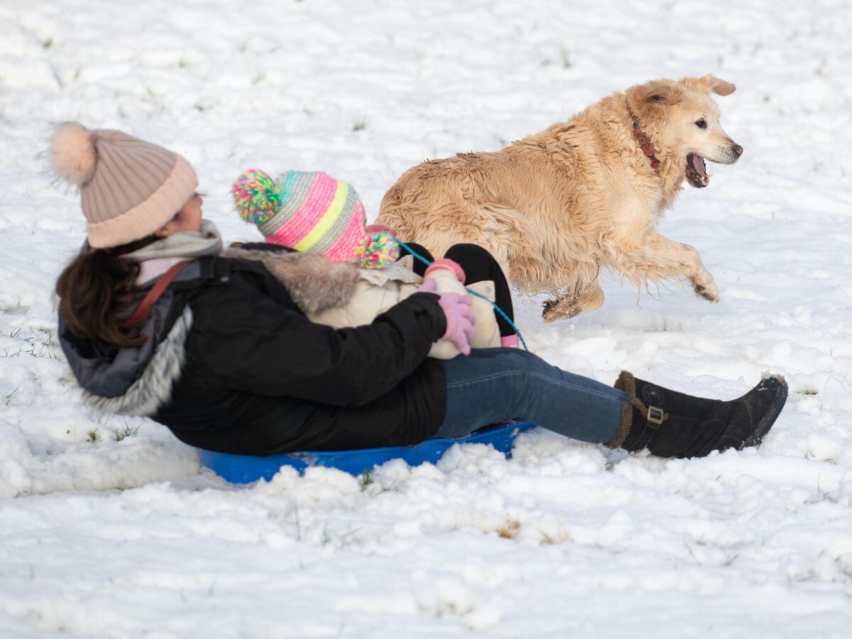 In Pictures Frolics In The Snow As Cold Snap Hits Parts Of Uk Express Star