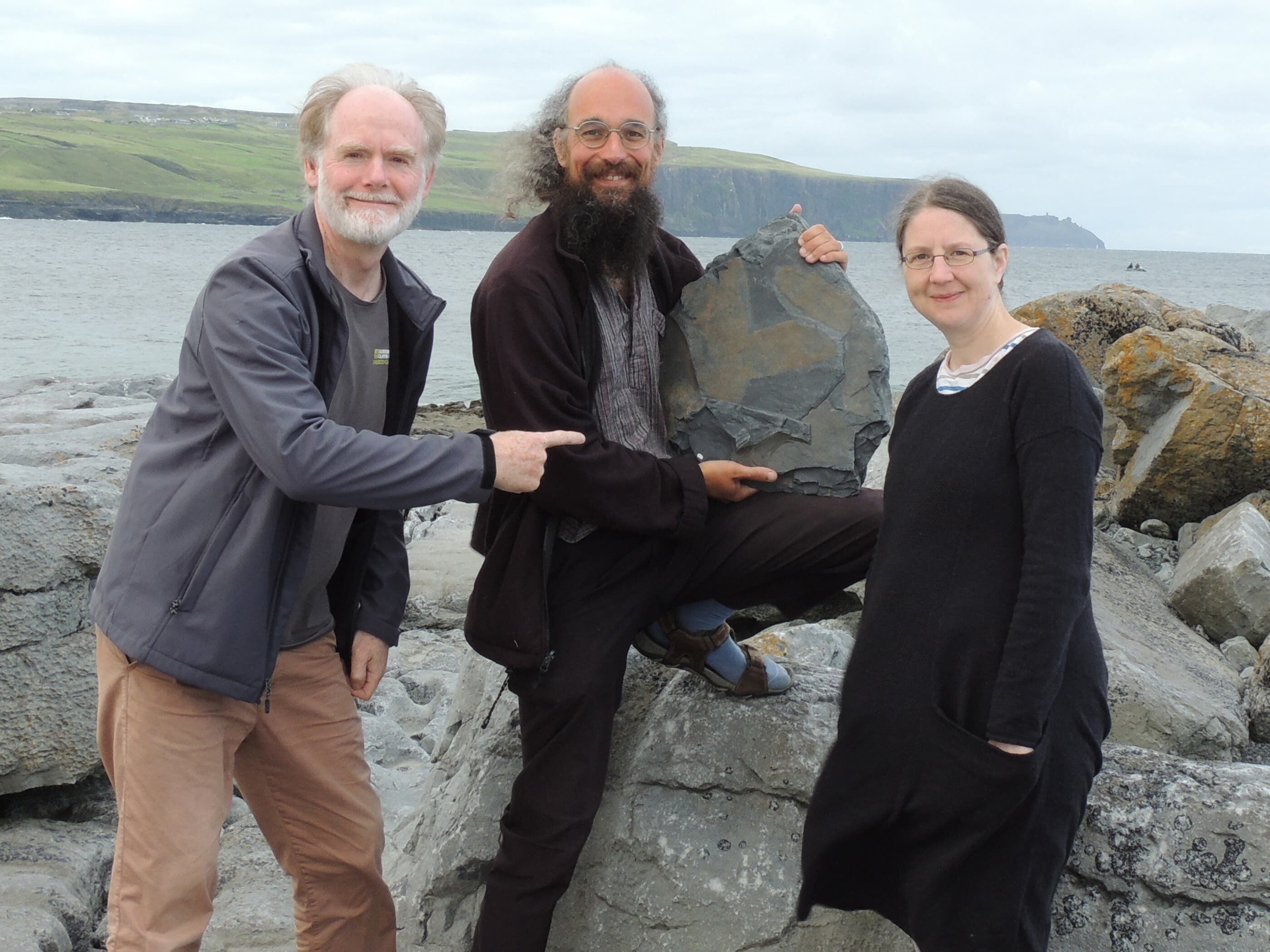‘Exceptional’ 315-million-year-old fossil sponge found in Irish cliffs
