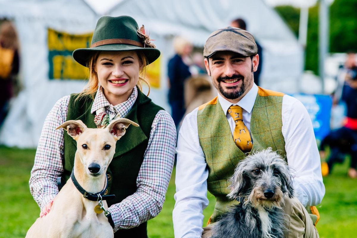 Thousands flock to the Midland Game Fair at Weston Park with pictures