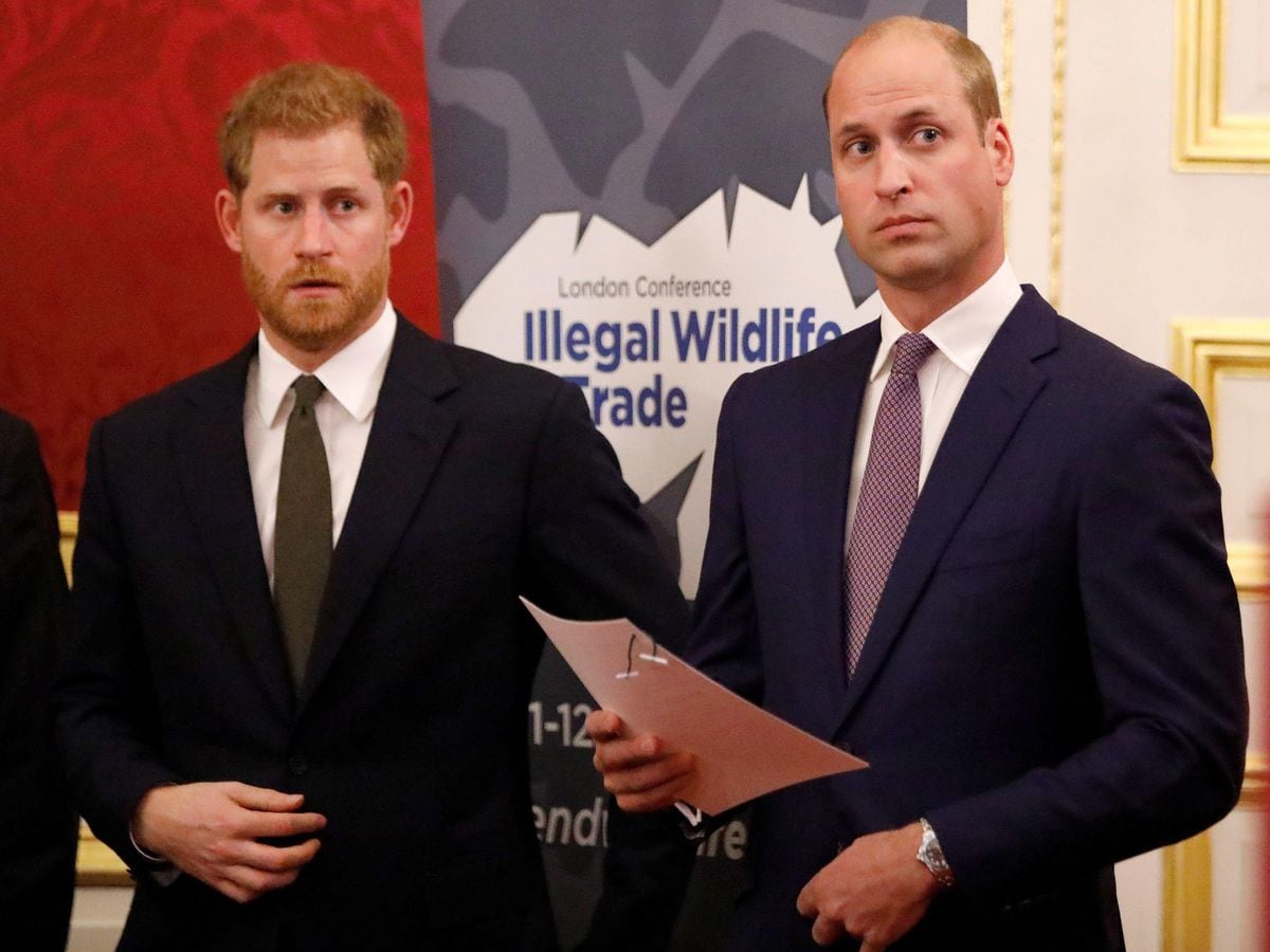 Harry And William Stopped Speaking For Two Months, Says Author ...