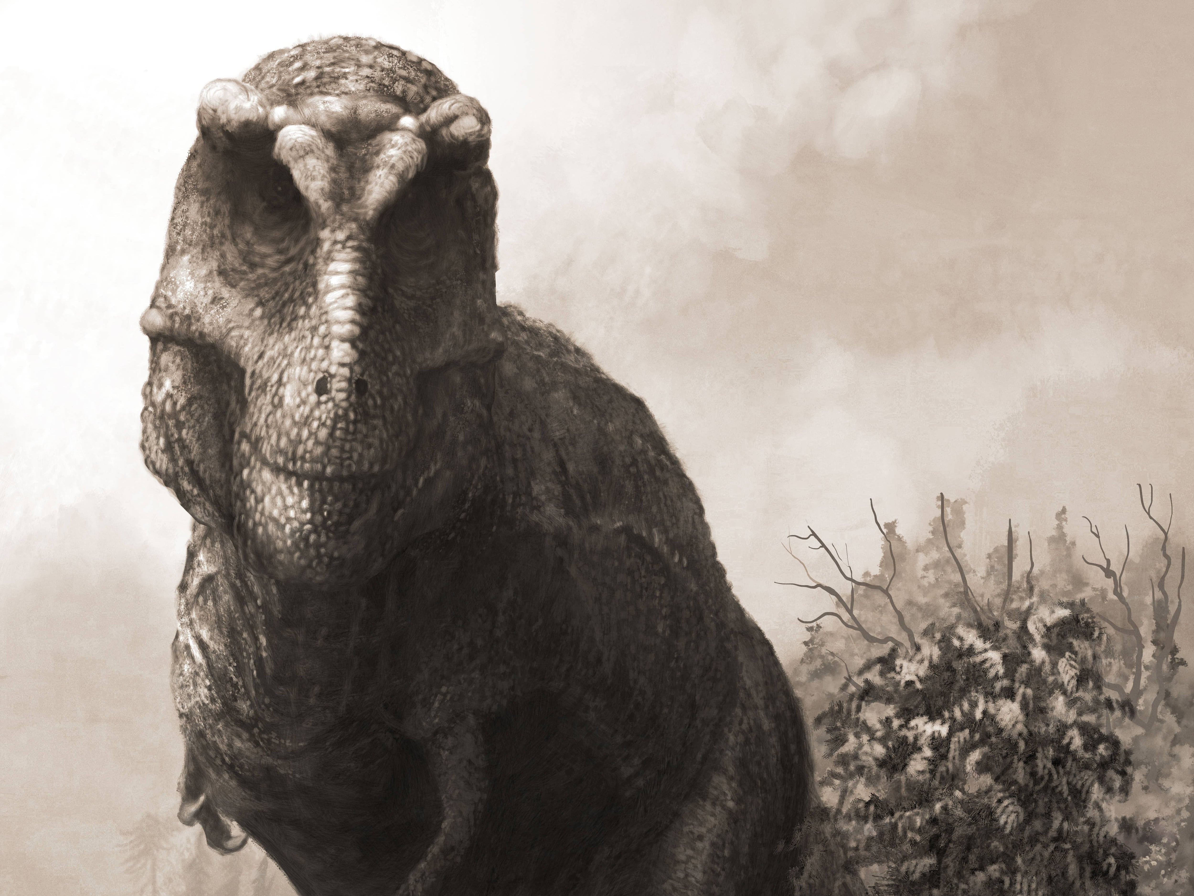 T. rex may have been much heavier and longer than previously thought – study