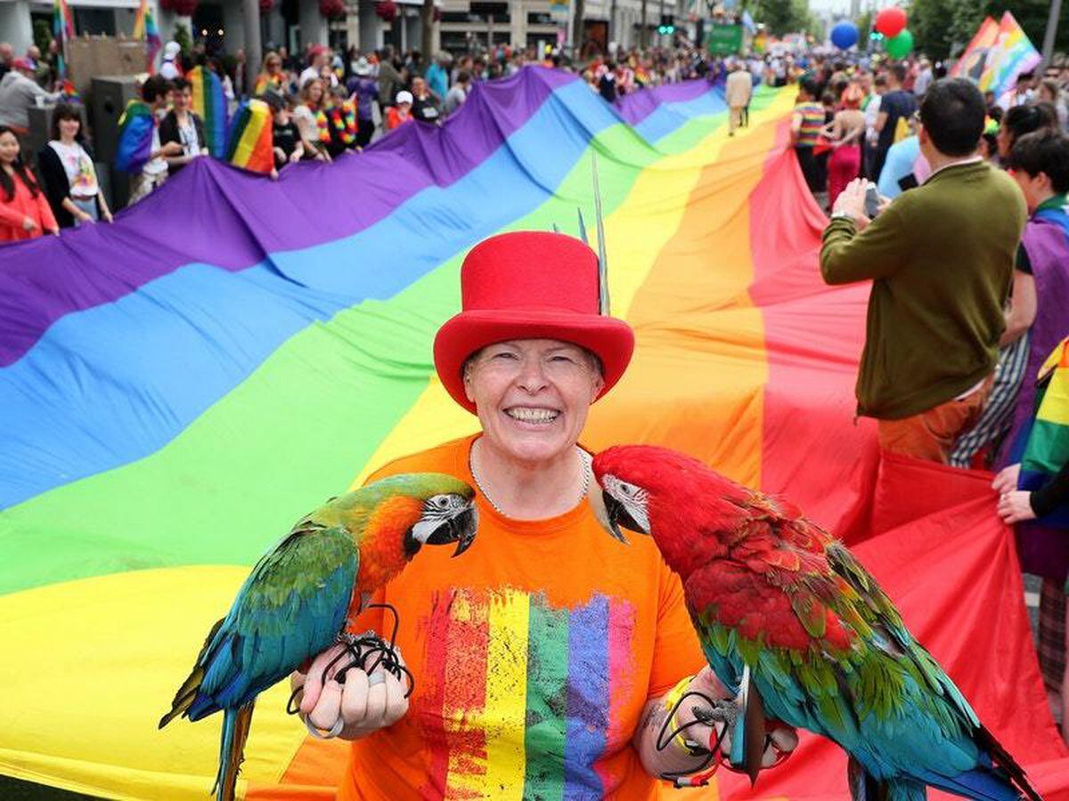 Virtual Dublin Pride Festival to be held in June after parade cancelled ...