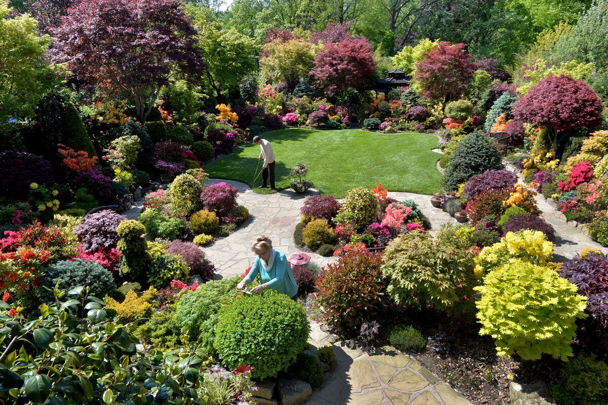 Colour, craft and 3,000 plants The incredible Walsall garden open to