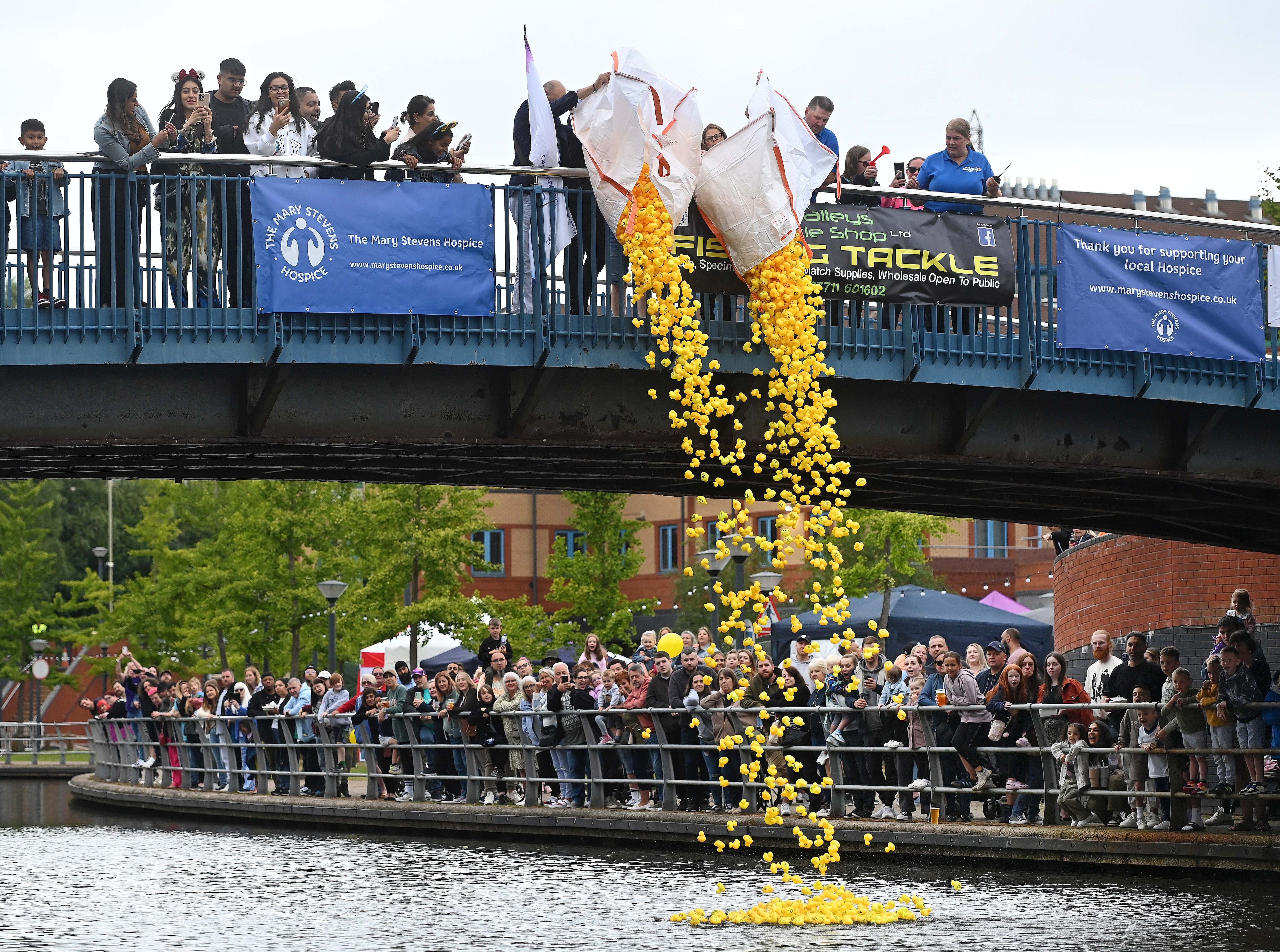 In pictures: A quacking day at The Black Country Duck Race
