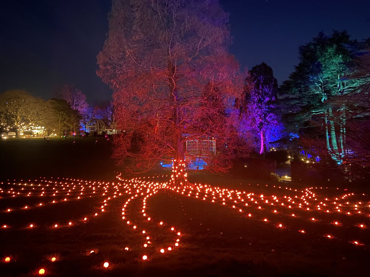 Brighten up the winter nights this Christmas at light shows across the