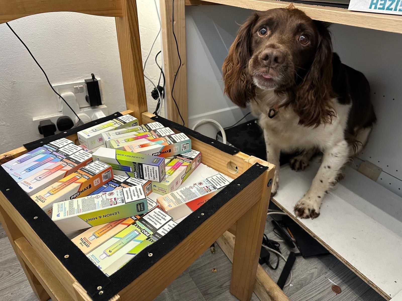 'One of the largest seizures' of illegal cigarettes, tobacco and disposable vapes carried out in Walsall
