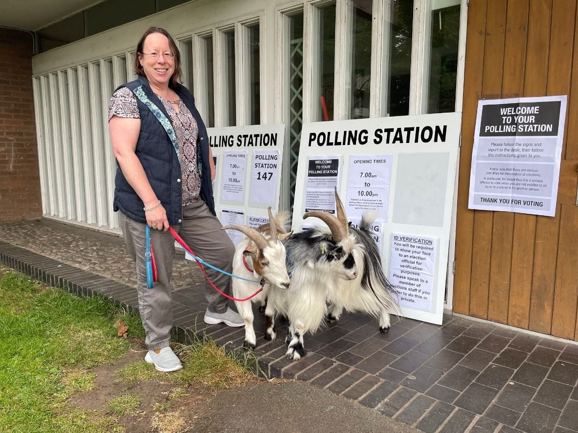Woman takes two pet pygmy goats to polling station