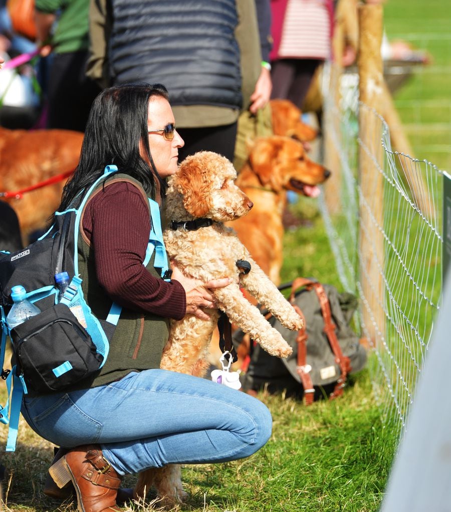 Thousands enjoy returning Country Fair at Weston Park Express & Star