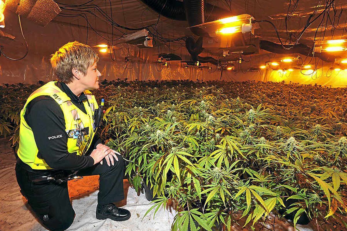 Drug farm found in Brierley Hill warehouse | Express & Star