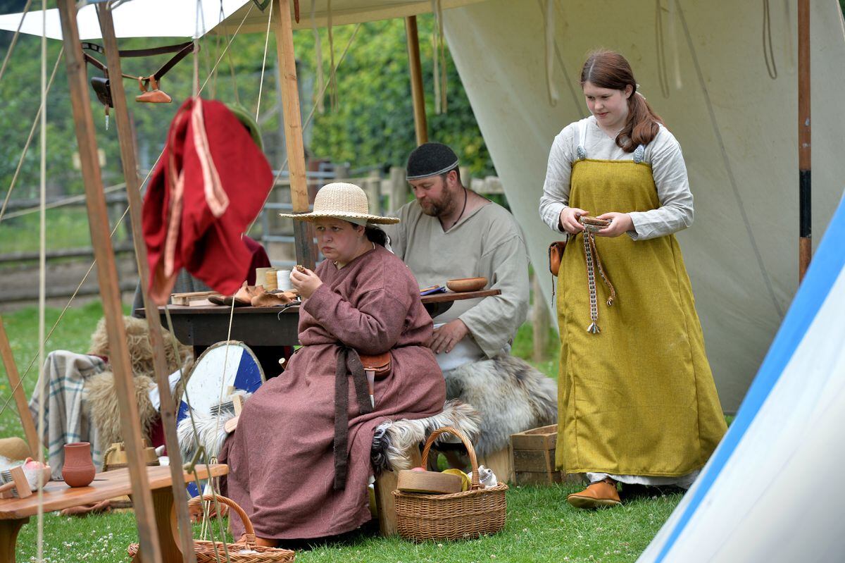 Viking camp to educate about an important period in history | Express ...