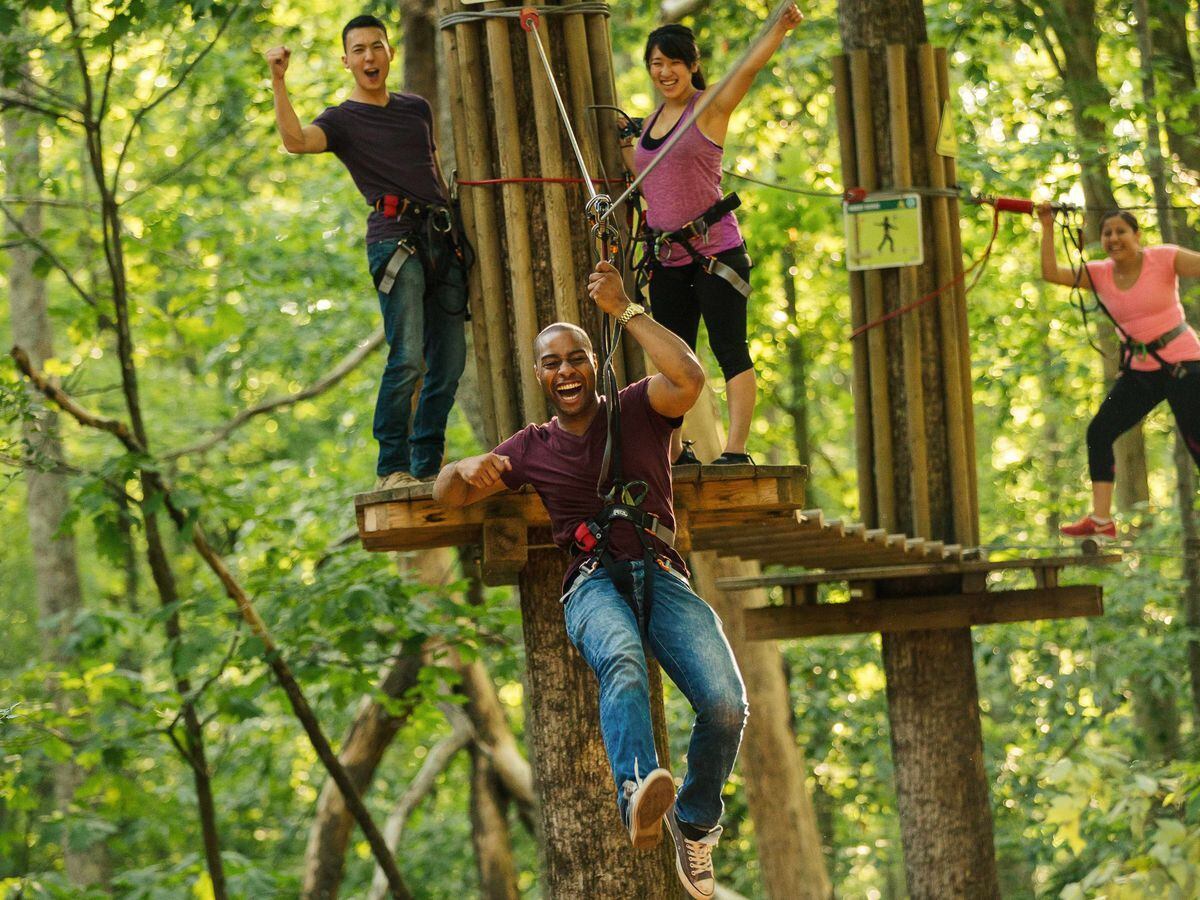 Cannock S Go Ape To Celebrate 10th Anniversary This Month Express Star