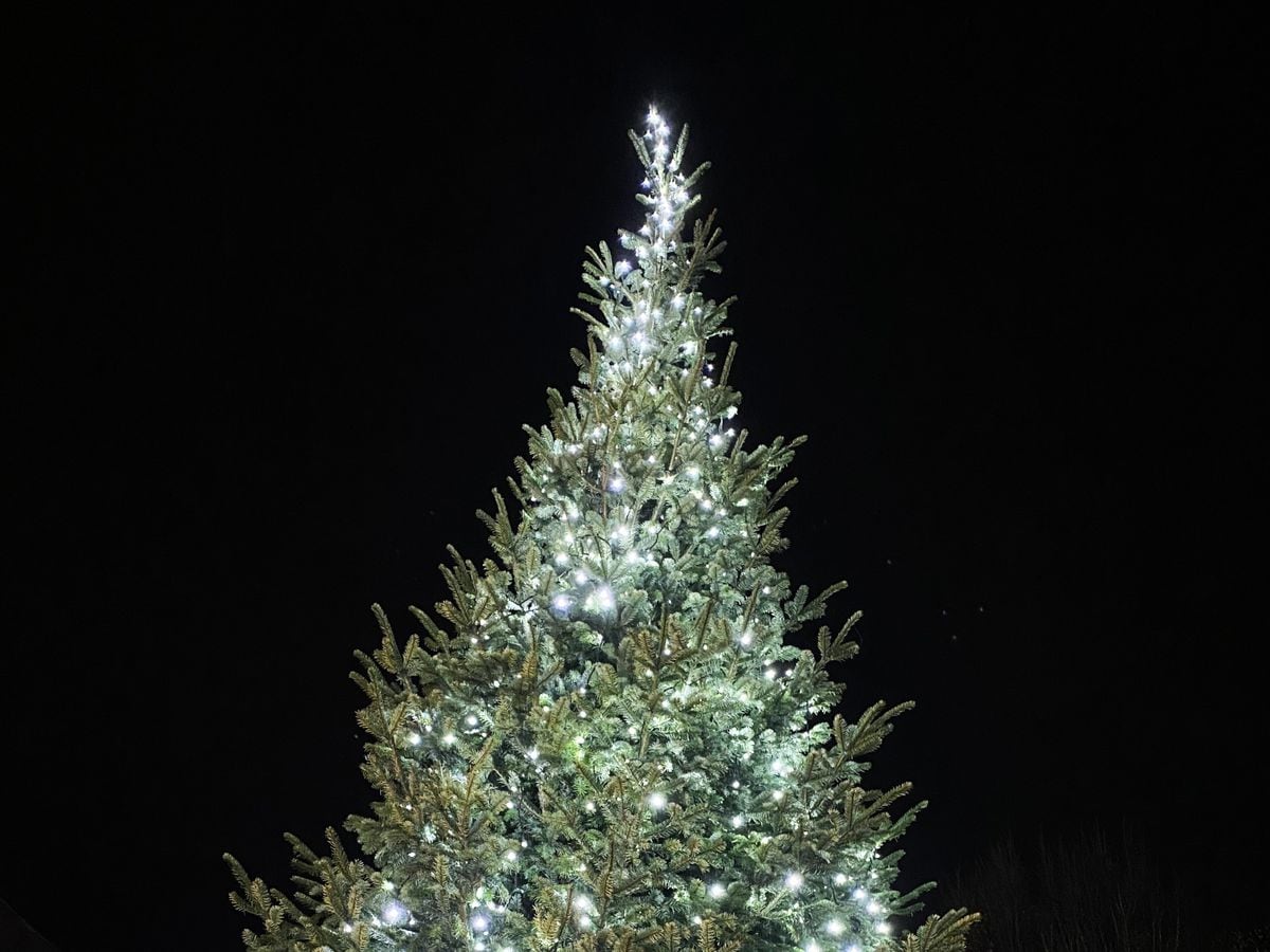 Tipton tree is lit up for loved ones once more | Express & Star