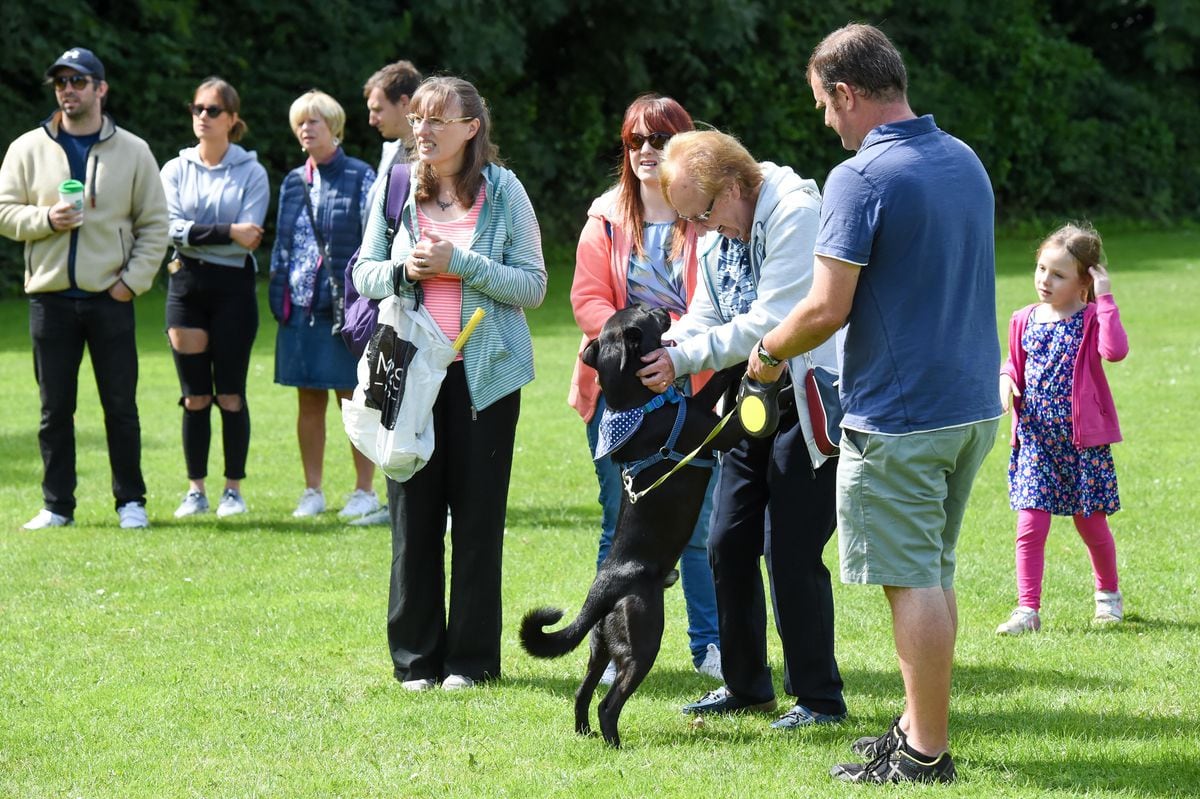 GALLERY: Dog show winners rewarded despite Halesowen Carnival ...