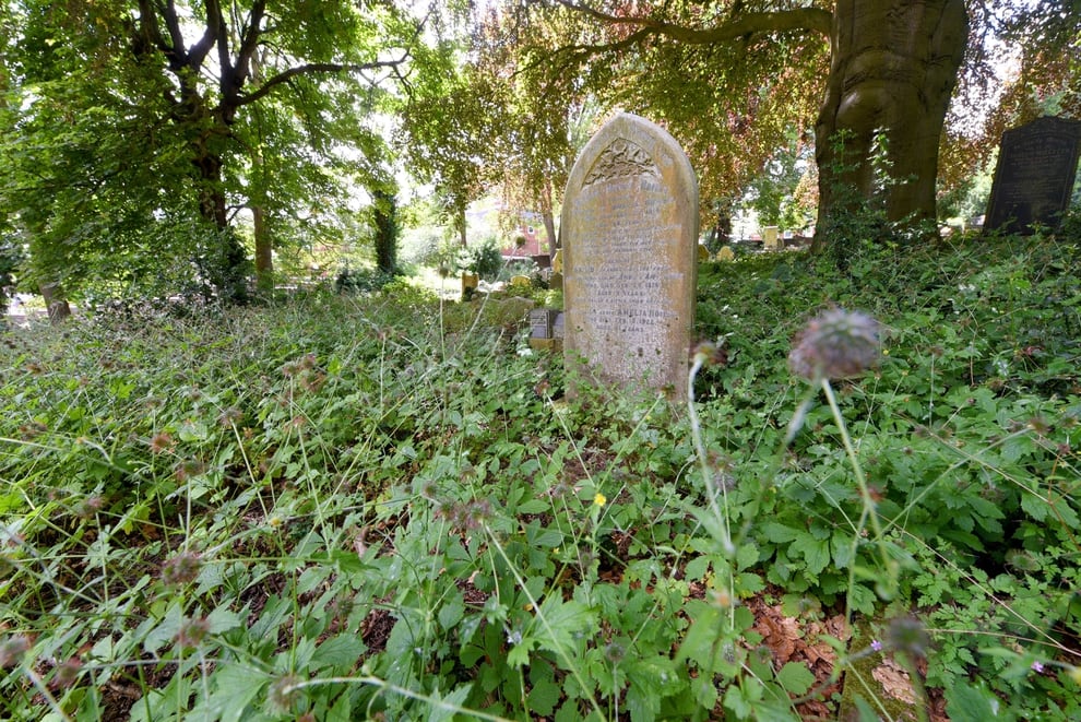 Fury At Overgrown Cemetery As Husband Claims I Couldnt Find My Wife