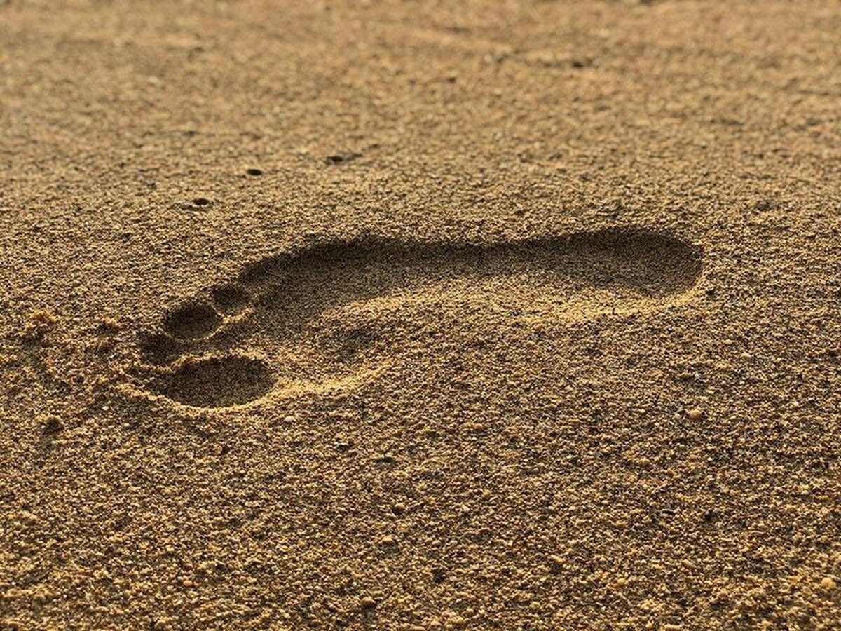 Arched feet essential for walking ‘evolved in humans 3.5 million years ...