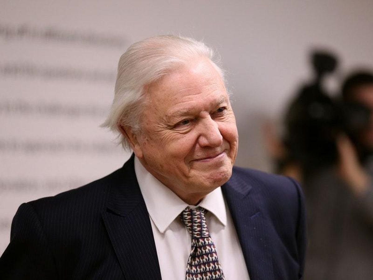 Sir David Attenborough ‘most Popular Person With British Public ...