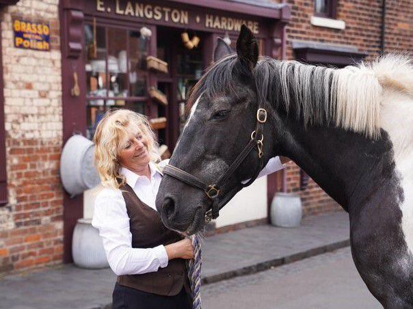 Black Country Living Museum's beloved horse helper calls it a neigh after eight years of educating