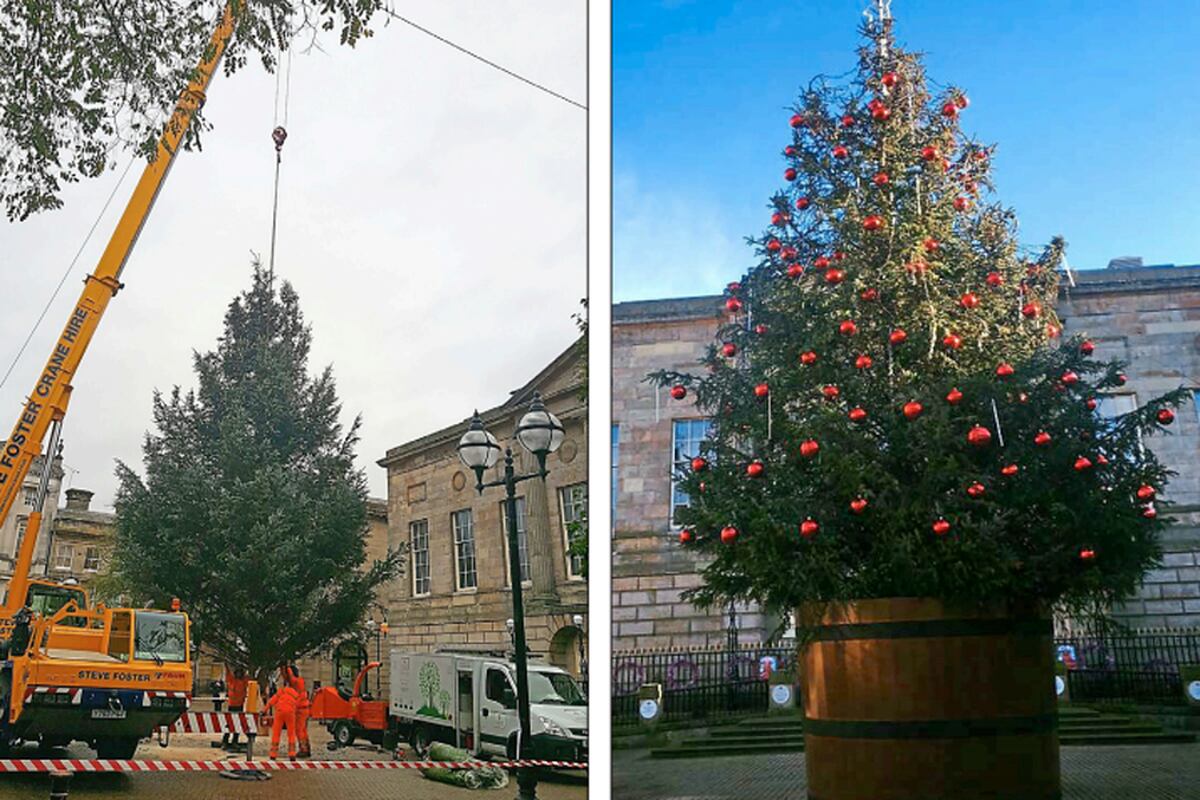 Council on edge of Cannock Chase buys Christmas tree from 200 MILES ...