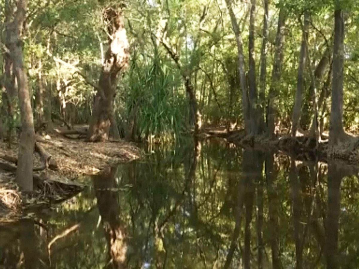 Police find remains of girl snatched by crocodile in northern Australia