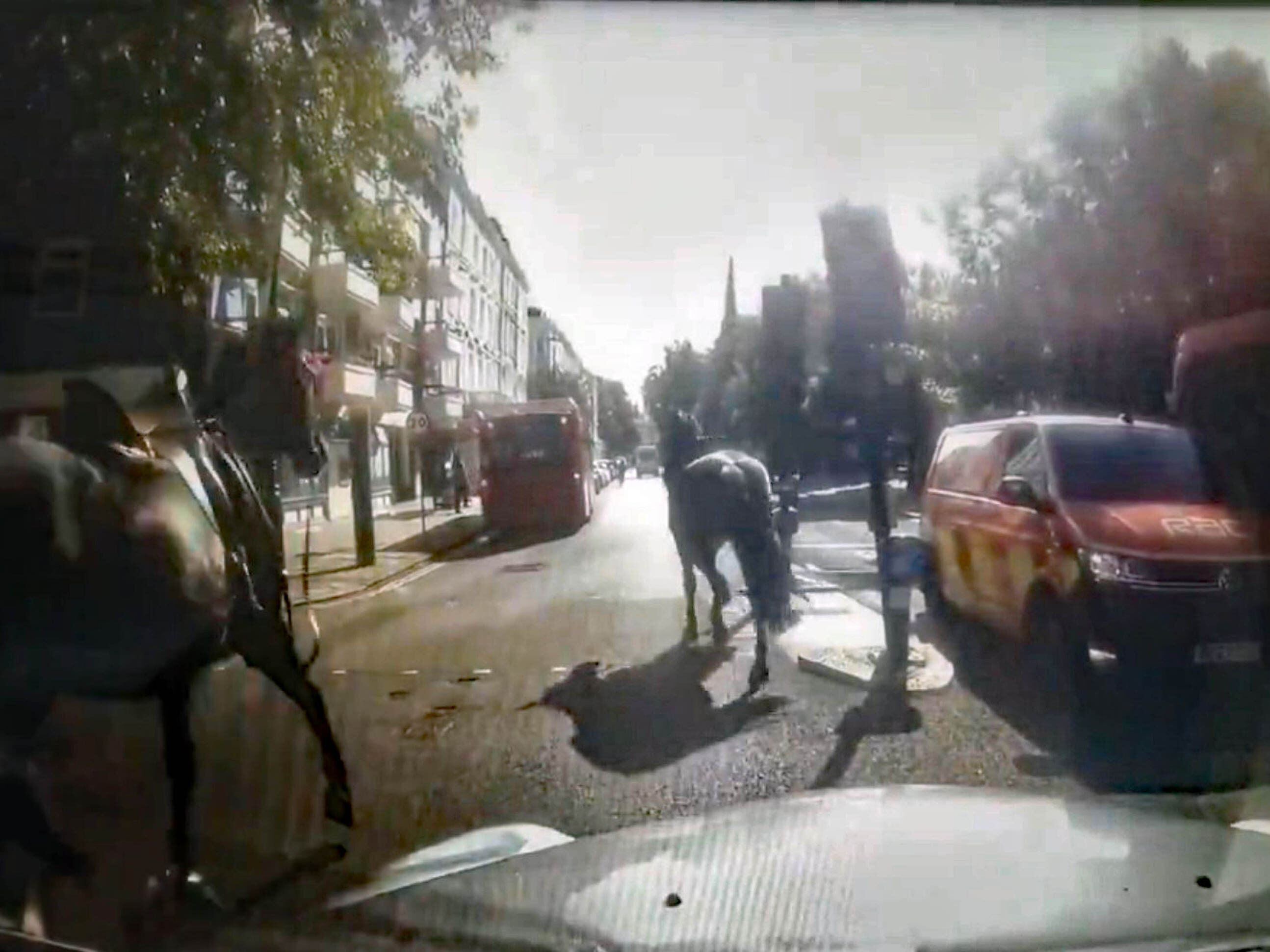 Three runaway military horses bolt through London after losing riders