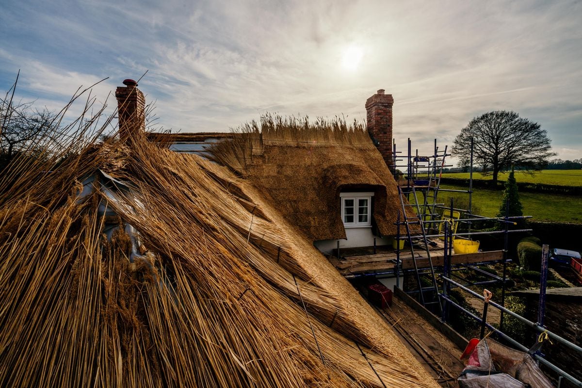 It S Done By Eye The Art Of Thatching A Roof Express Star